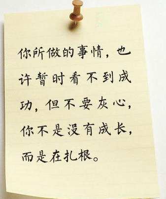 你所做的事情，也许暂时看不到成功，但不要灰心，你不是没有成长，而是在扎根