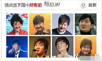 请点击下图所有的杨臣刚