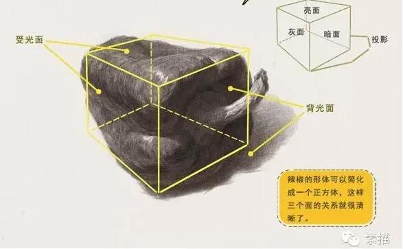 【素描|必须知道的五种静物观察方法】
