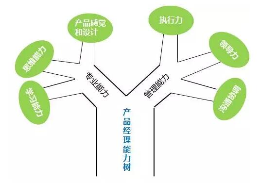 【把你的能力变成一棵树而不是一片草】