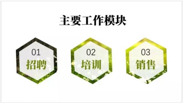 【我用一张图片，制作了一套PPT】