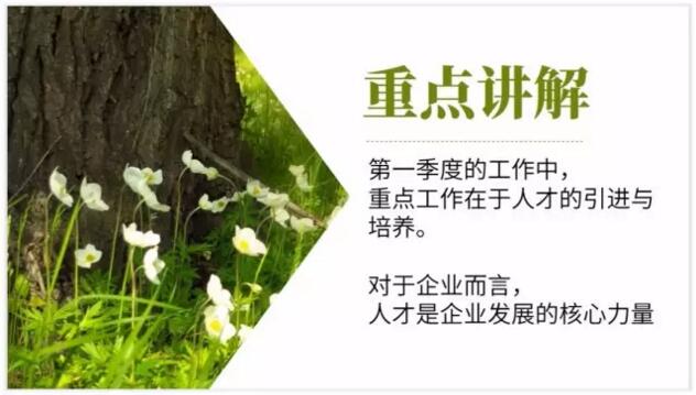 【我用一张图片，制作了一套PPT】