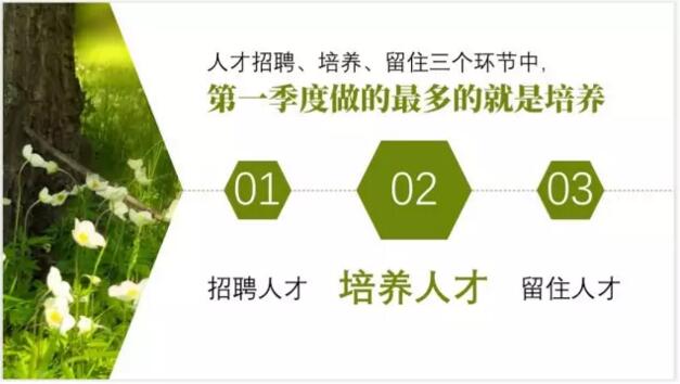【我用一张图片，制作了一套PPT】