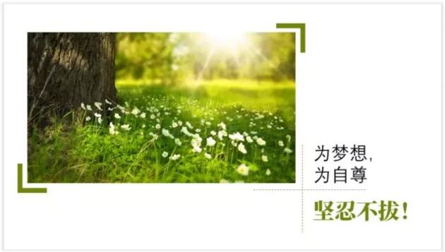 【我用一张图片，制作了一套PPT】