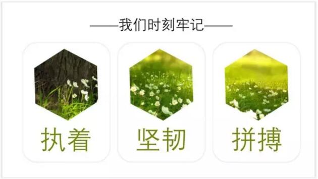 【我用一张图片，制作了一套PPT】