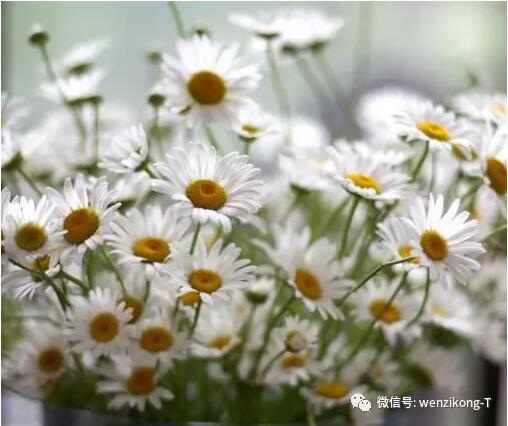 【掌控焦虑，而不是让焦虑掌控你】