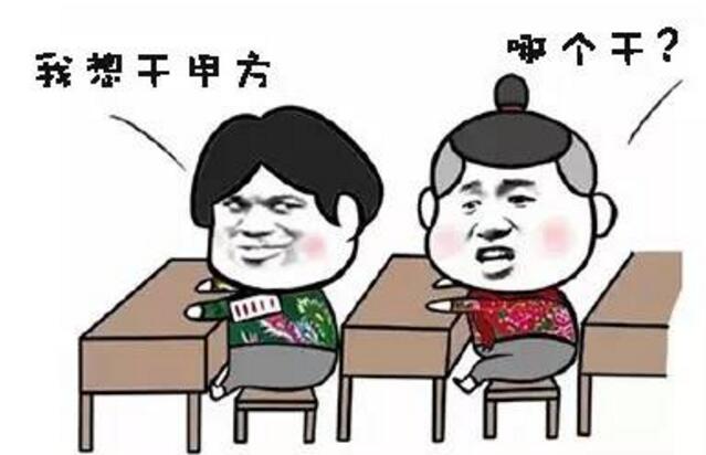跳槽干甲方