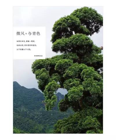 客户给的素材太丑，学会这6个方法照样做好设计！