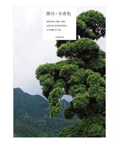 客户给的素材太丑，学会这6个方法照样做好设计！