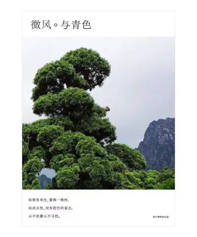 客户给的素材太丑，学会这6个方法照样做好设计！
