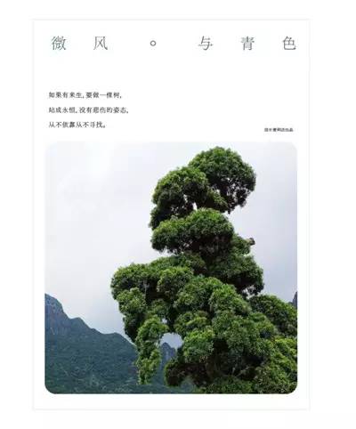 客户给的素材太丑，学会这6个方法照样做好设计！