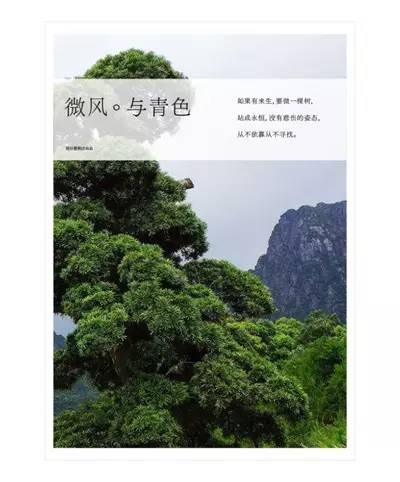 客户给的素材太丑，学会这6个方法照样做好设计！