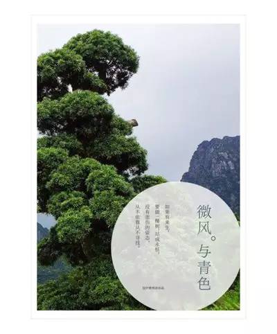 客户给的素材太丑，学会这6个方法照样做好设计！