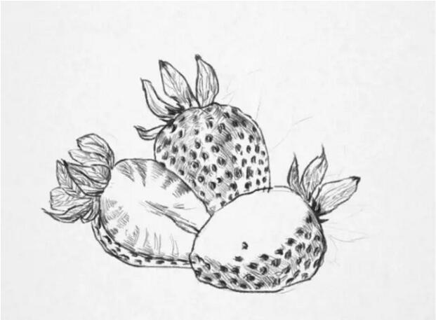 【零基础绘画教程】