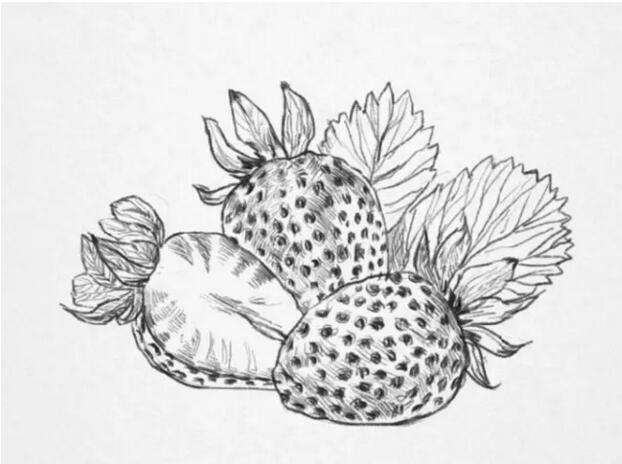 【零基础绘画教程】
