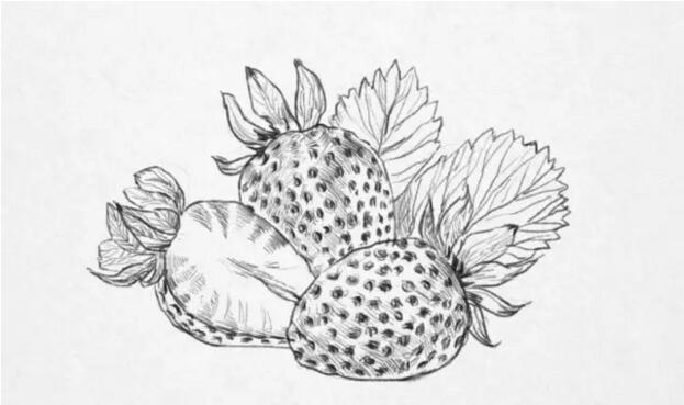 【零基础绘画教程绘画草莓】