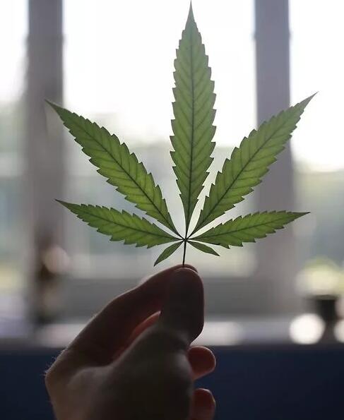 如何用30天变成一个超级自律的人？