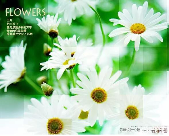 简单几步，教你制作高逼格的照片拼接效果!